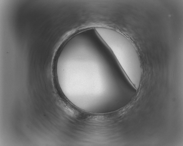 X0000076040104200609221130