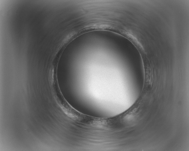 X0000076040110200609221130