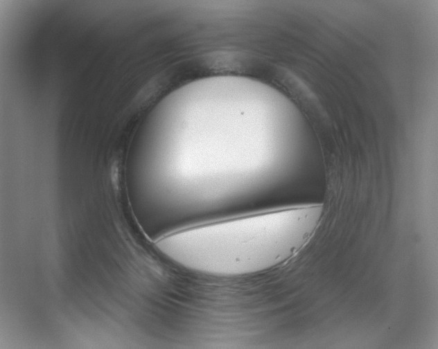 X0000076040124200609221130