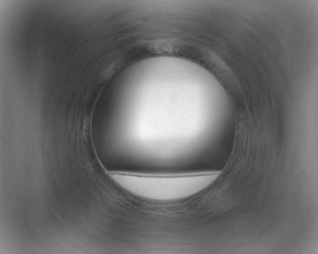 X0000076040125200609221130