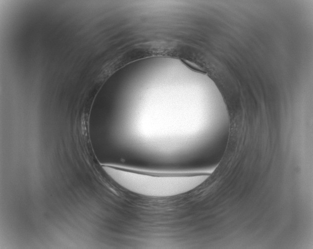 X0000076040137200609221129