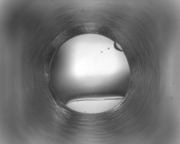 X0000076040140200609221129