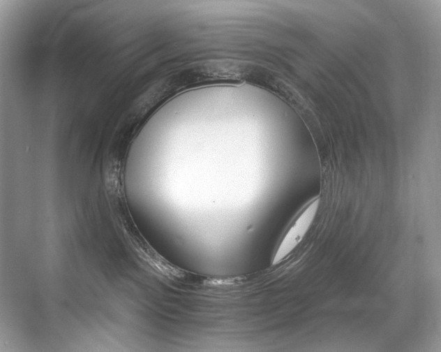 X0000076040141200609221129