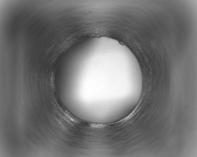 X0000076040144200609221129