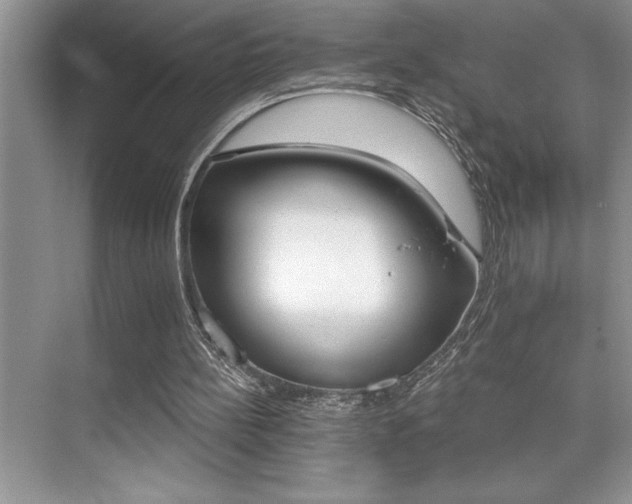 X0000076040148200609221129