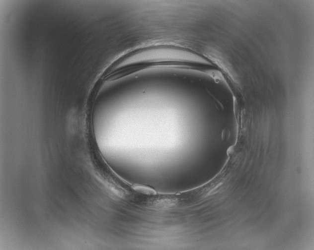 X0000076040156200609221129