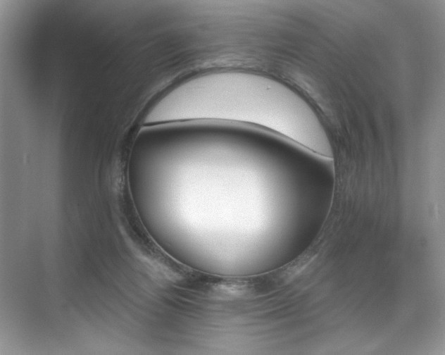 X0000076040164200609221129