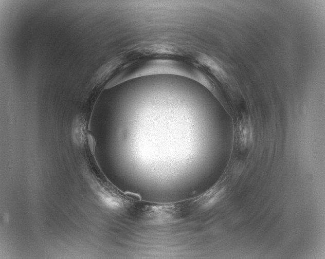 X0000076040188200609221129