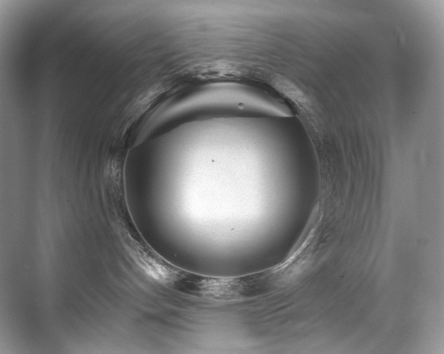 X0000076040192200609221129
