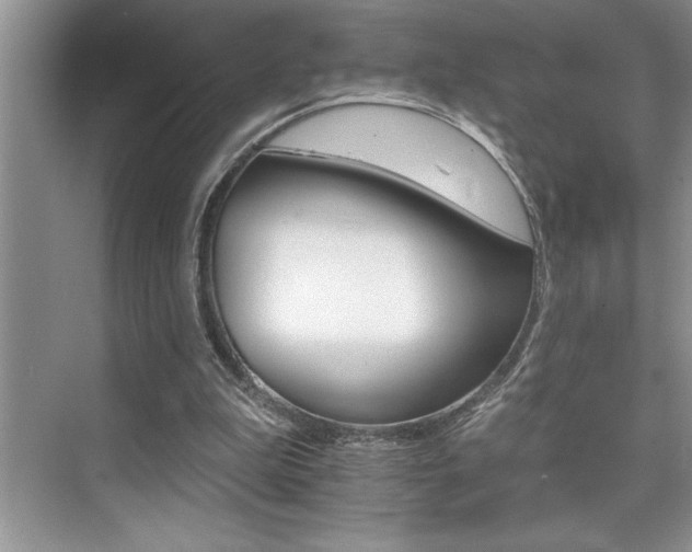 X0000076040199200609221128