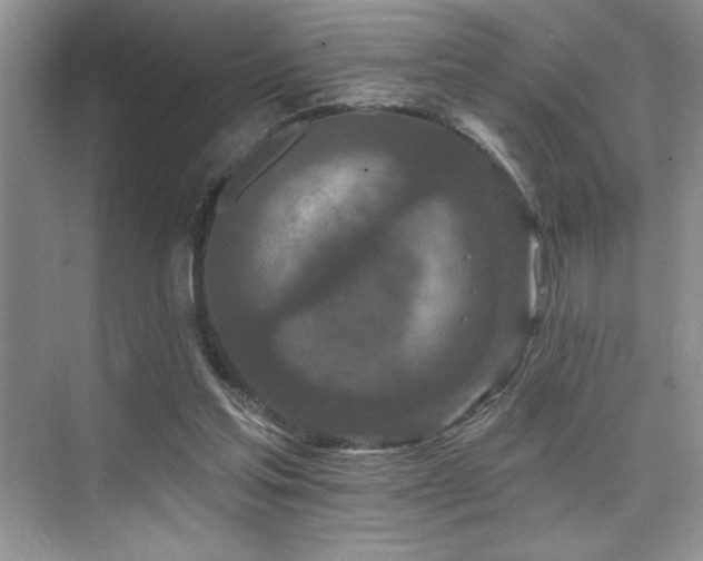 X0000076040205200609221128