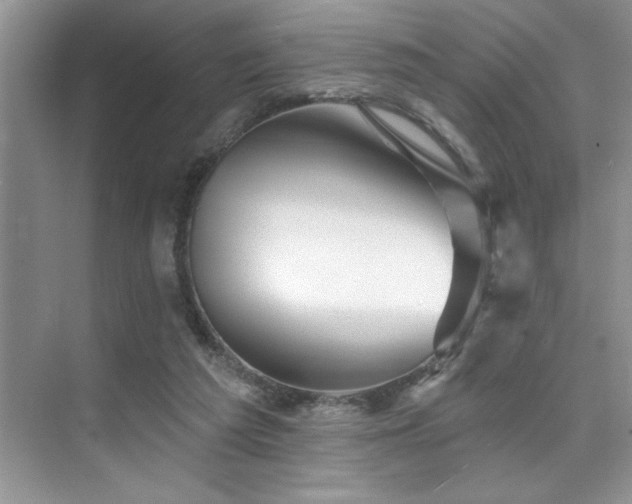 X0000076040209200609221128
