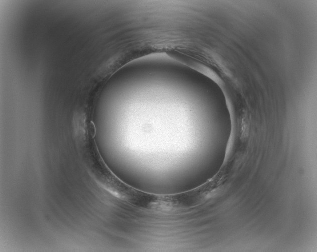 X0000076040211200609221128