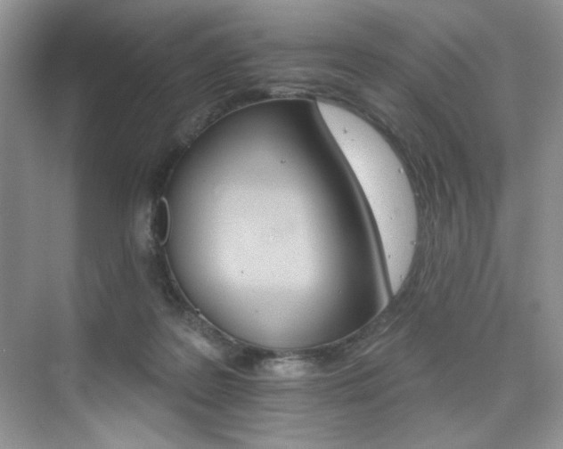X0000076040219200609221128
