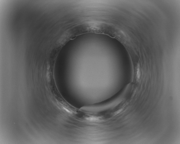 X0000076040223200609221128