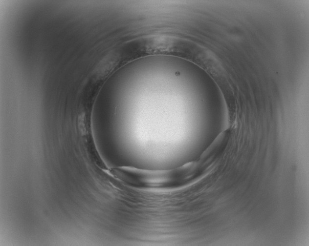 X0000076040224200609221128