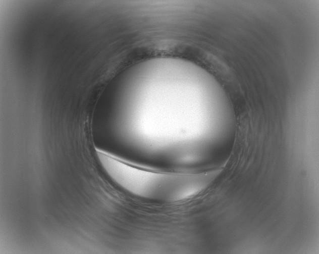 X0000076040225200609221128