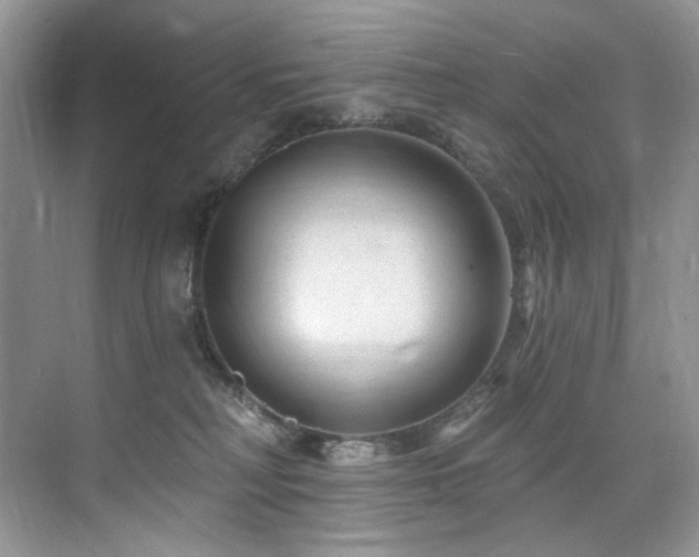 X0000076040230200609221128