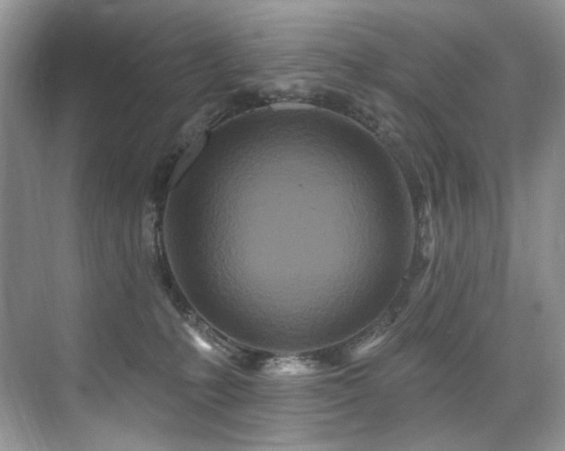 X0000076040231200609221128