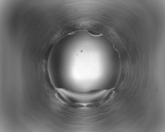 X0000076040232200609221128