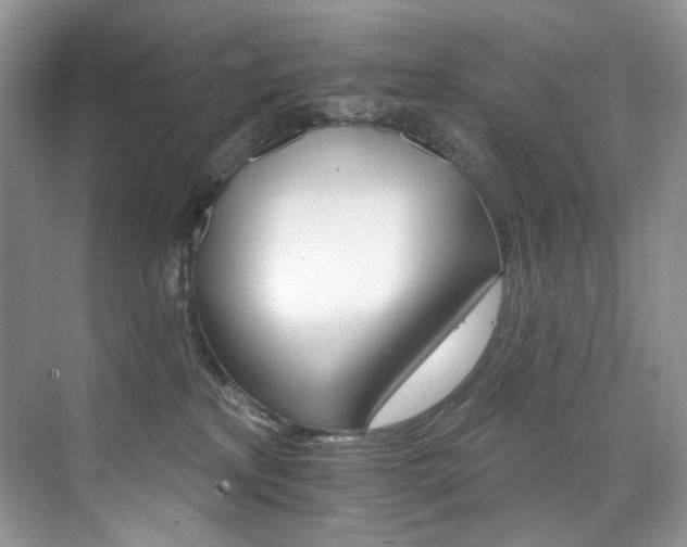 X0000076040233200609221128