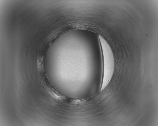 X0000076040239200609221128