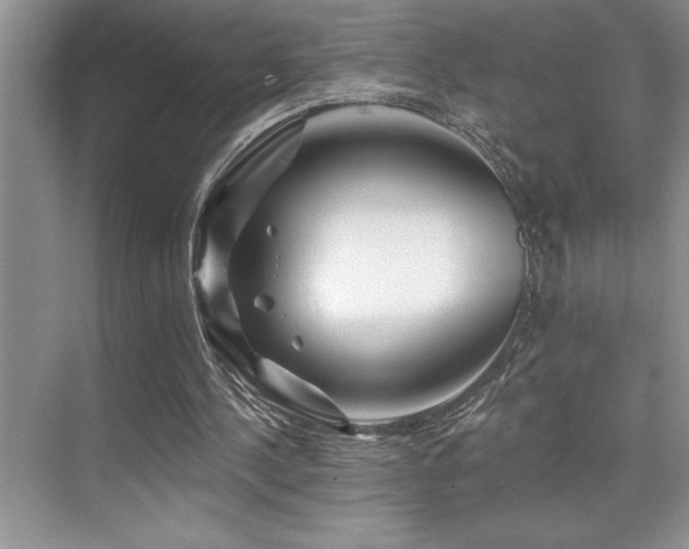 X0000076040244200609221127