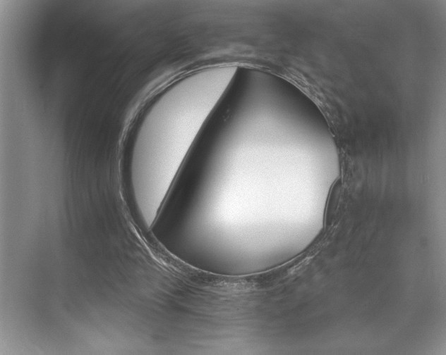 X0000076040245200609221127