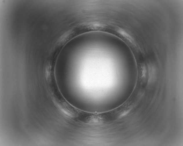 X0000076040263200609221127