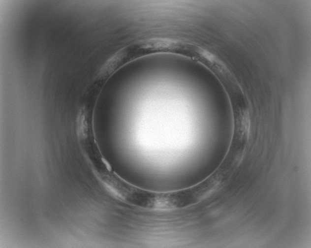 X0000076040264200609221127