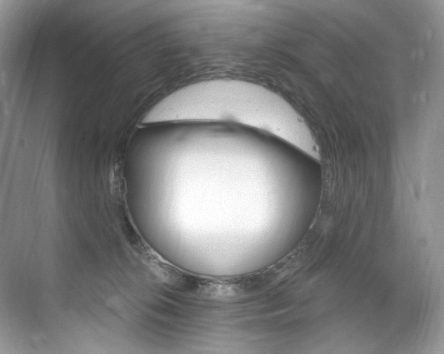 X0000076040276200609221127