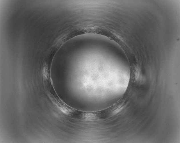 X0000076040287200609221128