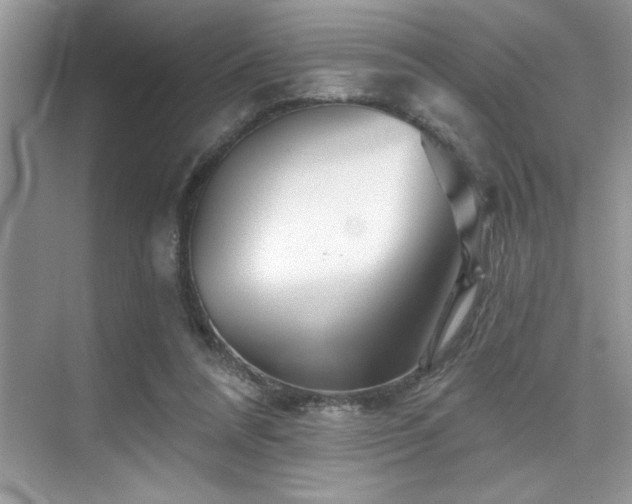 X0000076040304200609221127