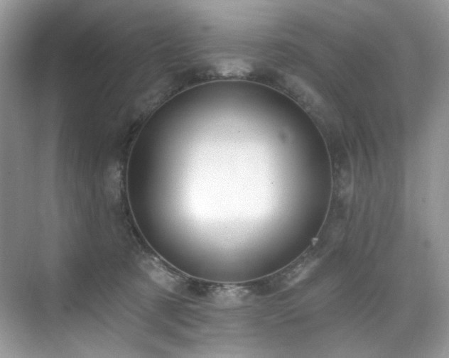X0000076040321200609221126