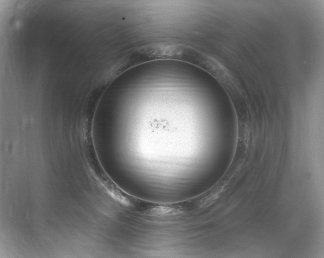 X0000076040326200609221126