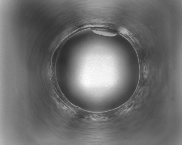 X0000076040338200609221125