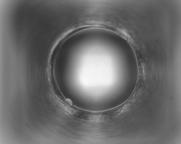 X0000076040342200609221125