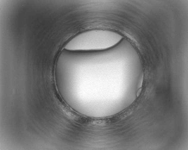 X0000076040353200609221126