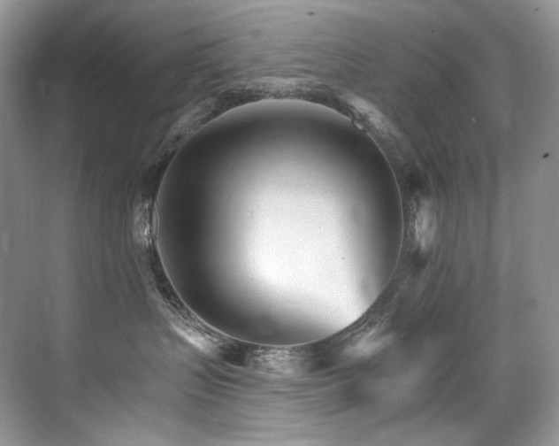 X0000076040383200609221126