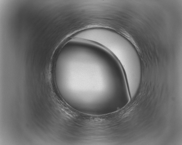 X0000076040387200609221125