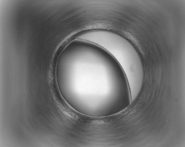 X0000076040392200609221125