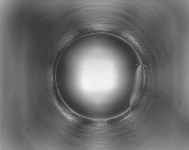 X0000076040398200609221125