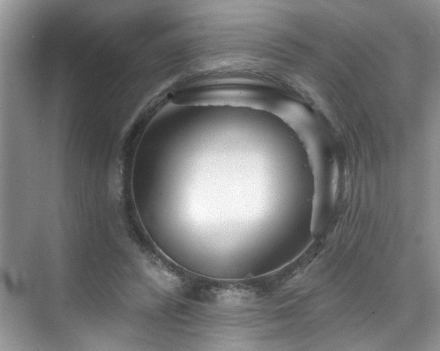 X0000076040400200609221125