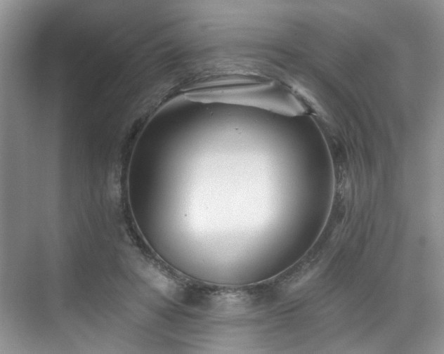 X0000076040402200609221125