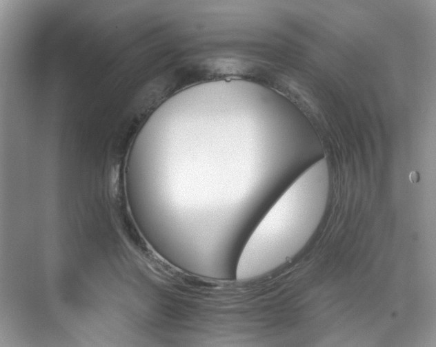 X0000076040406200609221125