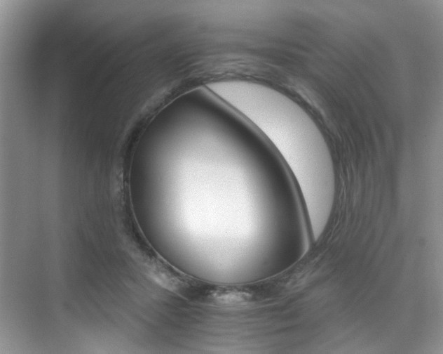 X0000076040407200609221125