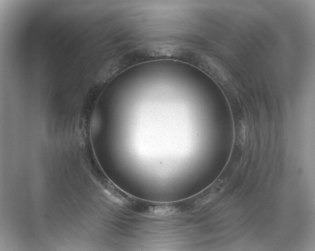 X0000076040414200609221125