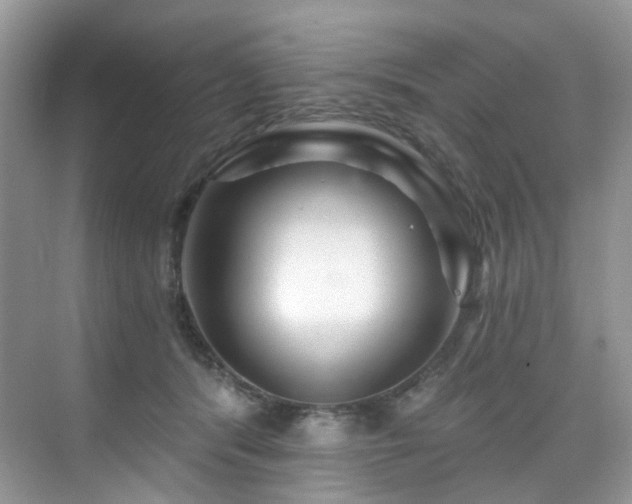 X0000076040416200609221125