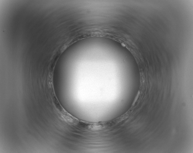 X0000076040419200609221125