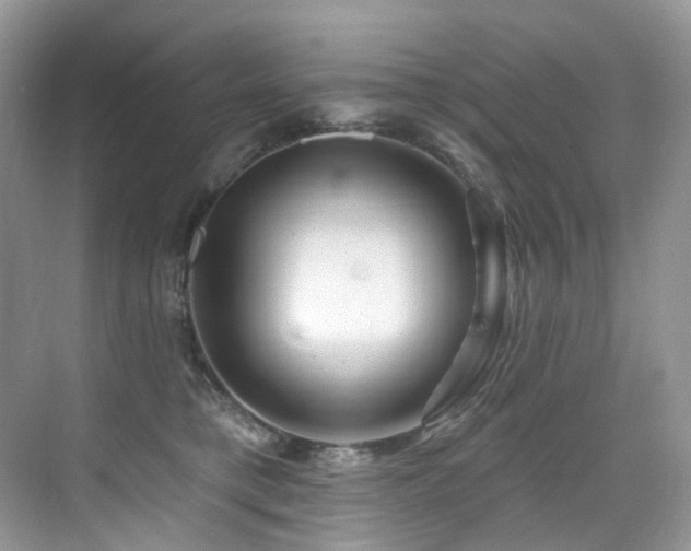 X0000076040421200609221125